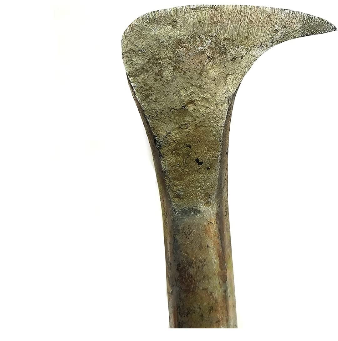 Stainless Steel Coconut Slicer 6 inches