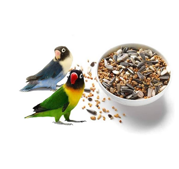 Cockatiel And African Love Birds Seed Mix 1 Count