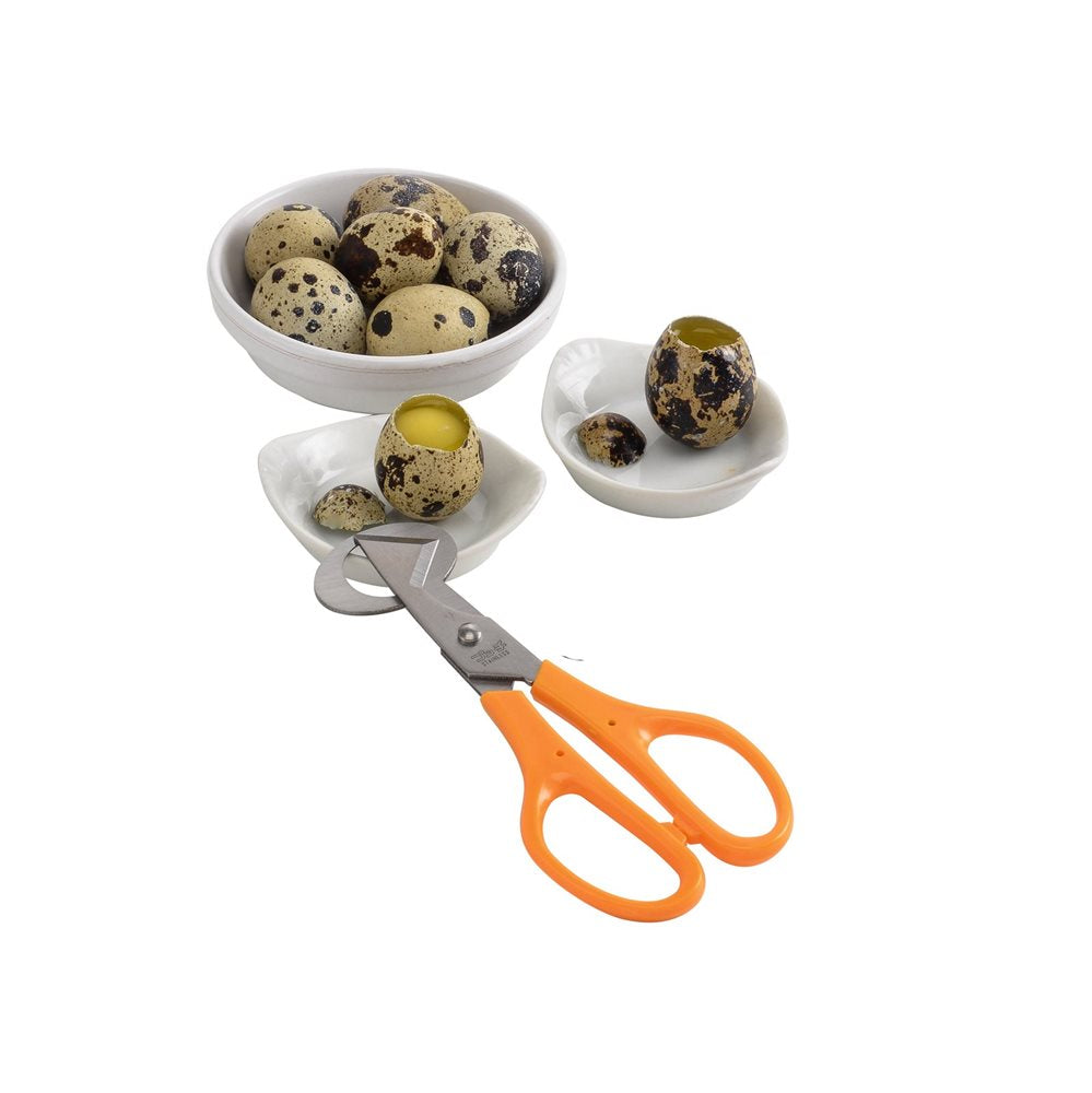 Stainless Steel Coil Egg Scissors 5.5 inches