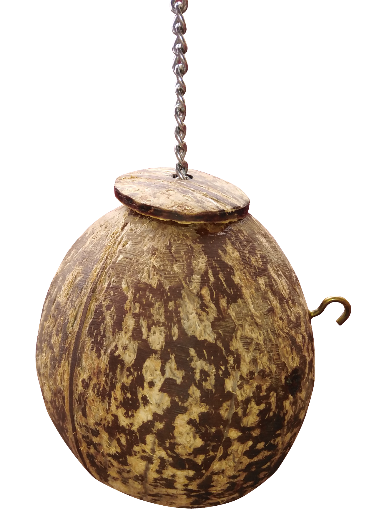 Coconut Shell Bird Nest for Finches and Sparrows