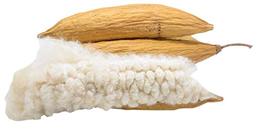 Coolboss Organic Eco Friendly Kapok Sofa Pillow