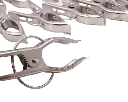 12 Piece Steel Cloth Drying Clip, Silver