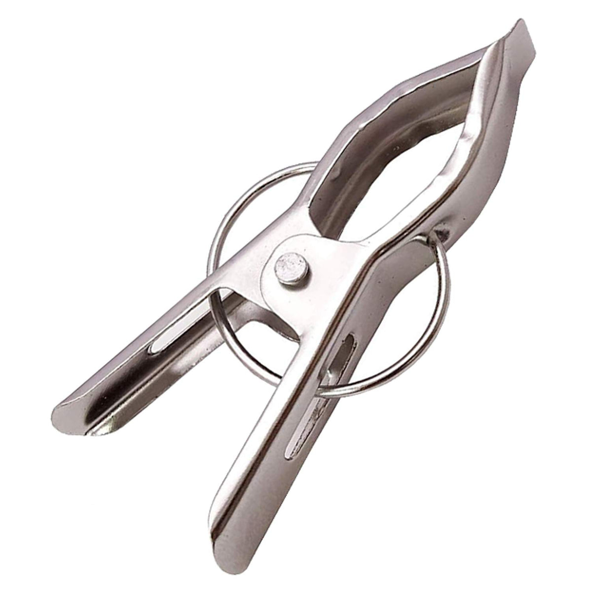 12 Piece Steel Cloth Drying Clip, Silver