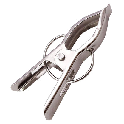 12 Piece Steel Cloth Drying Clip, Silver
