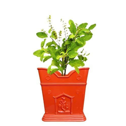 Decorative Tulsi Pot for Home & Garden