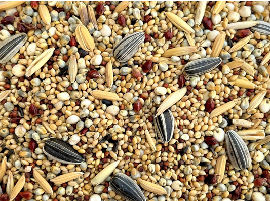 Mix Seeds Bird  Pack of 1