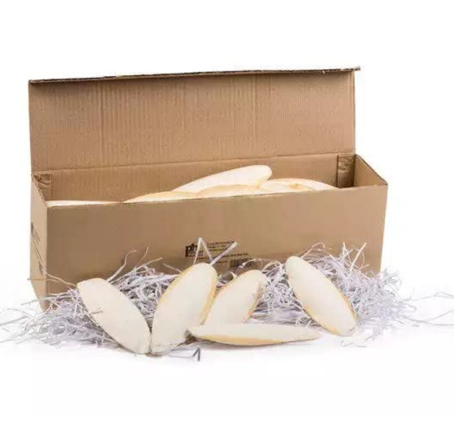 Cuttlefish Bone Cuttlebone - Cuttlebone For Birds & Reptiles 1kg All Life Stages