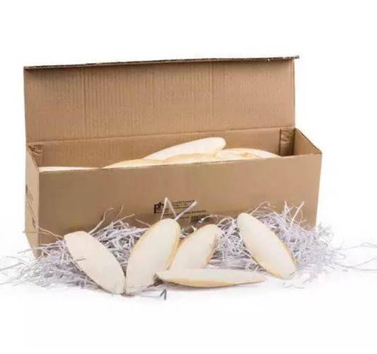 Cuttlefish Bone Cuttlebone - Cuttlebone For Birds & Reptiles 1kg All Life Stages