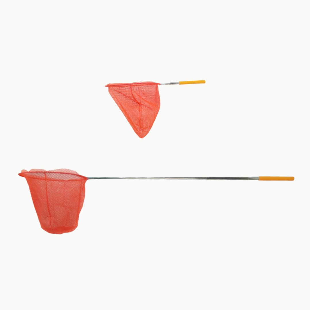 Stainless Steel Telescopic Fishing Net for Birds/Fish & Catching Bugs ...