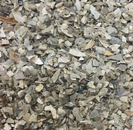 SHELL GRIT FOR BIRDS FEED Pack of 1