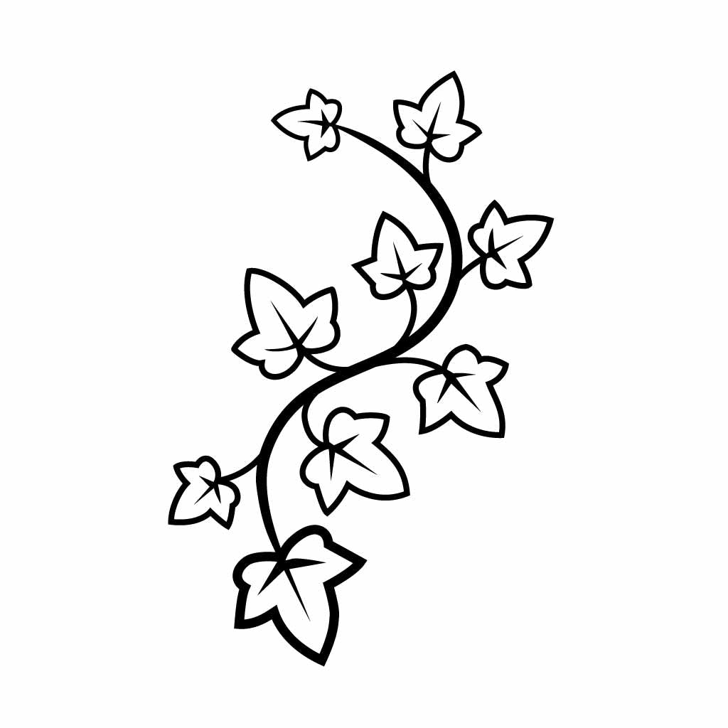 Ivy Leaf Vine Line Art Vector | Botanical Floral SVG for Crafts – COOL BOSS