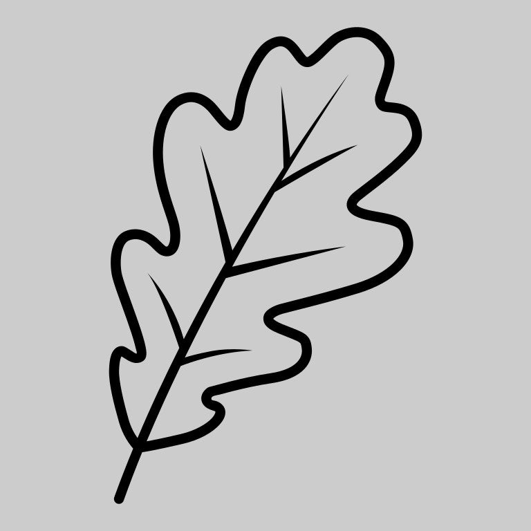 Oak Leaf Outline Vector | Minimal Leaf Line Art Design (SVG,PNG,EPS)