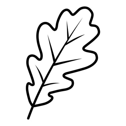Oak Leaf Outline Vector | Minimal Leaf Line Art Design (SVG,PNG,EPS)