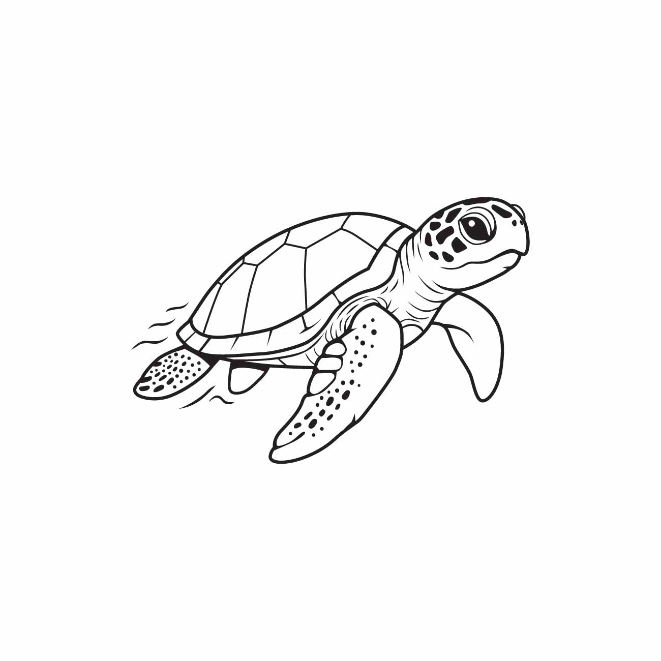 Turtle  SVG PNG Digital Download