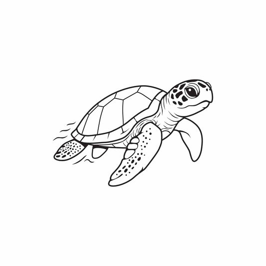 Turtle  SVG PNG Digital Download