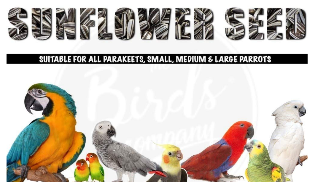 Striped Sunflower Seed Mix, Bird Food for All