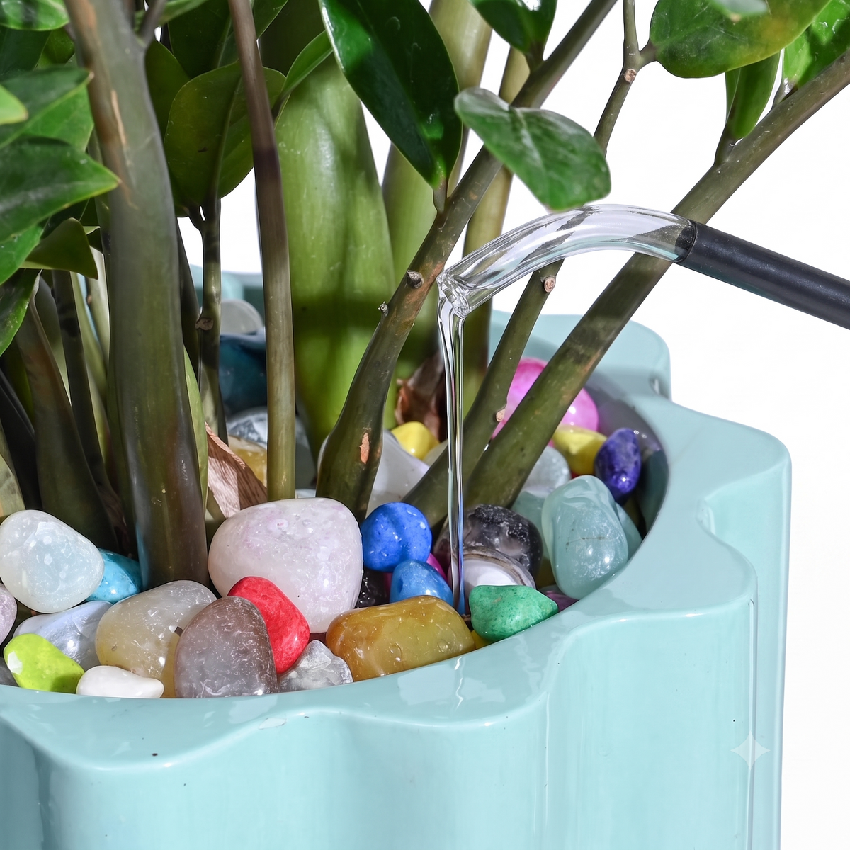 Coolboss Premium Mixed Pebbles for Decor & Planters (1kg)