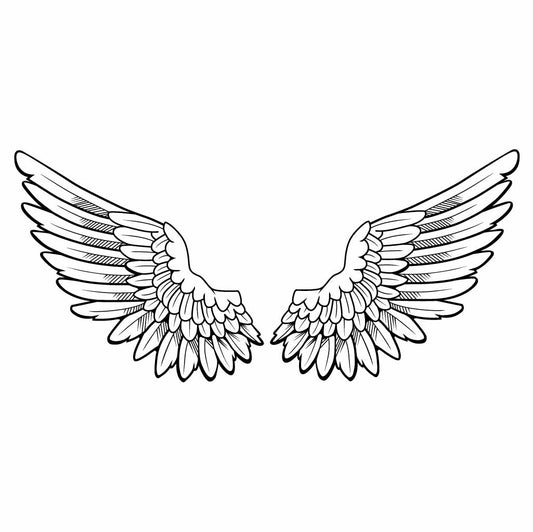 Angel Wings SVG PNG Feathered Wing Clipart Angelic Wings Outline Vector for Cricut & Silhouette