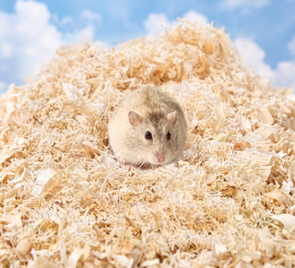 Coolboss Natural Wood Bedding for Birds & Small Pets (150g)